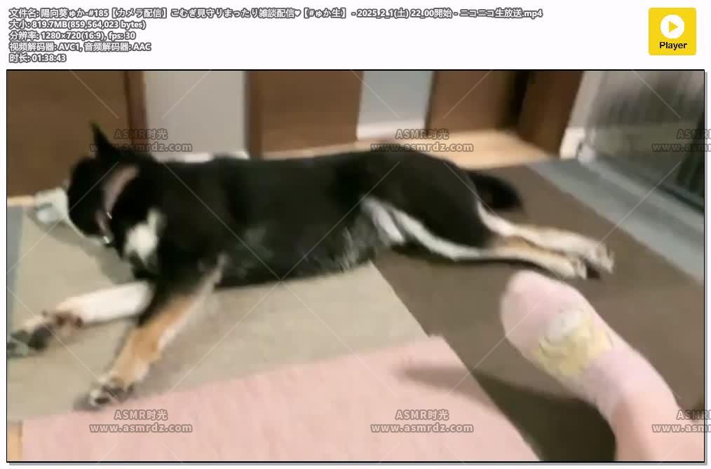 陽向葵ゅか.jpg