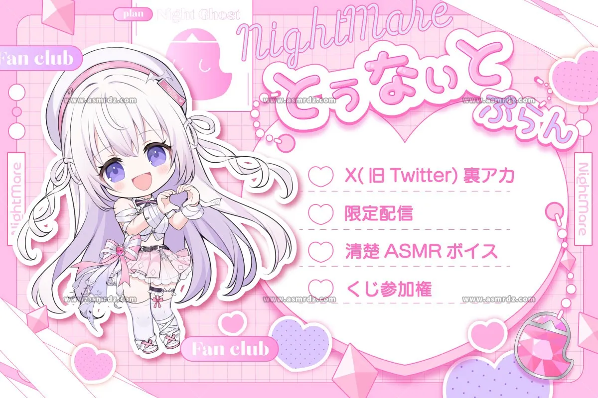 なぃとめあさん_プラン①.webp